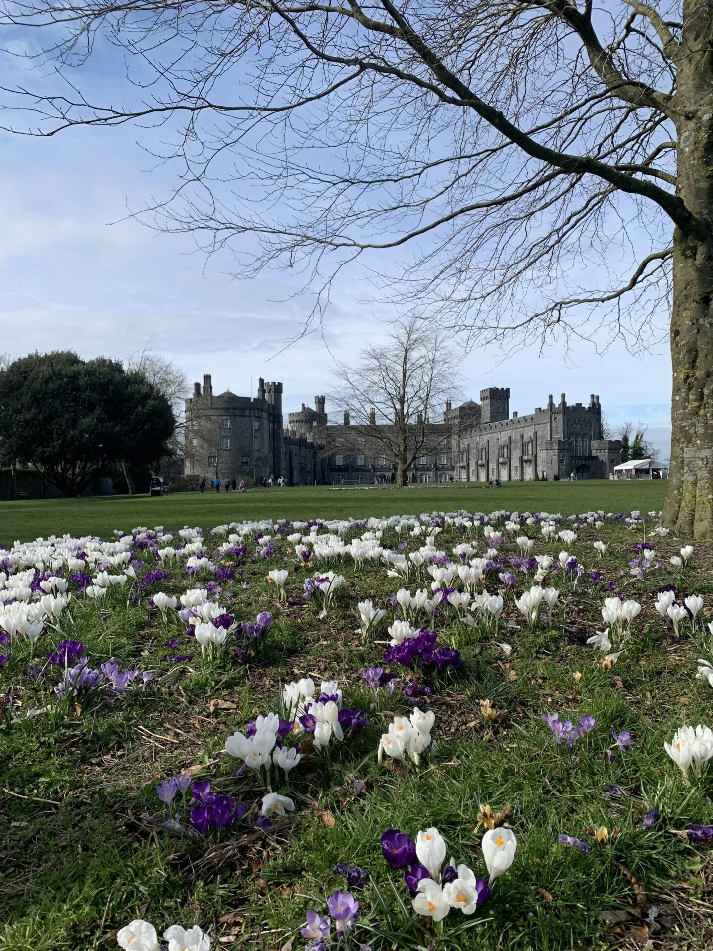 A wider angle of Kilkenny Castle and gardens